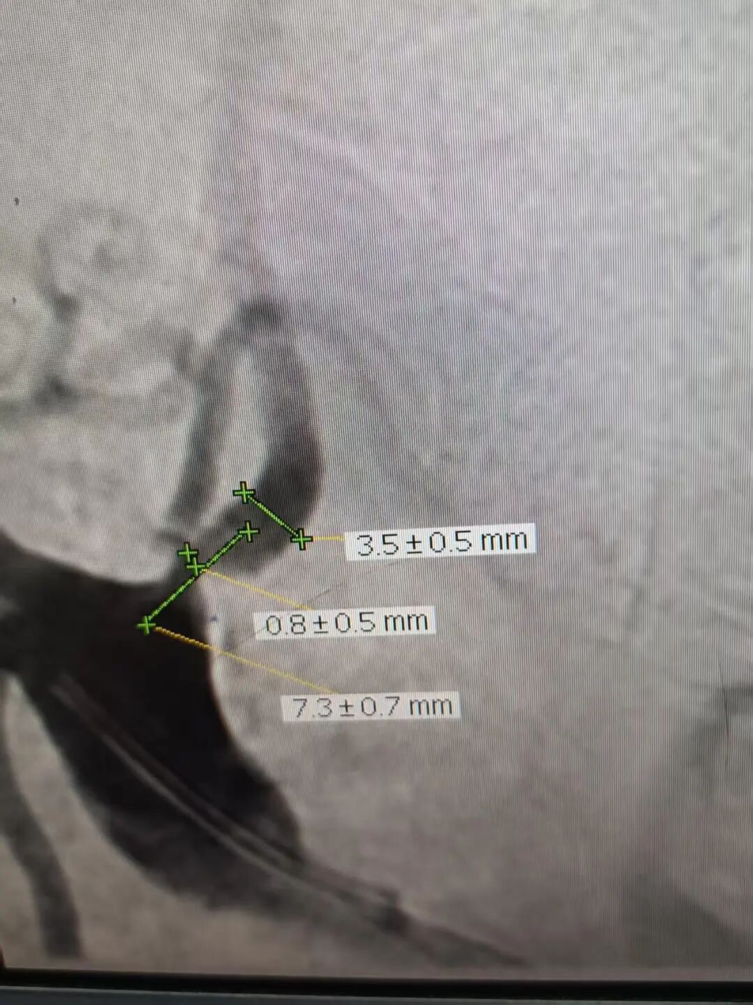 image8.jpeg