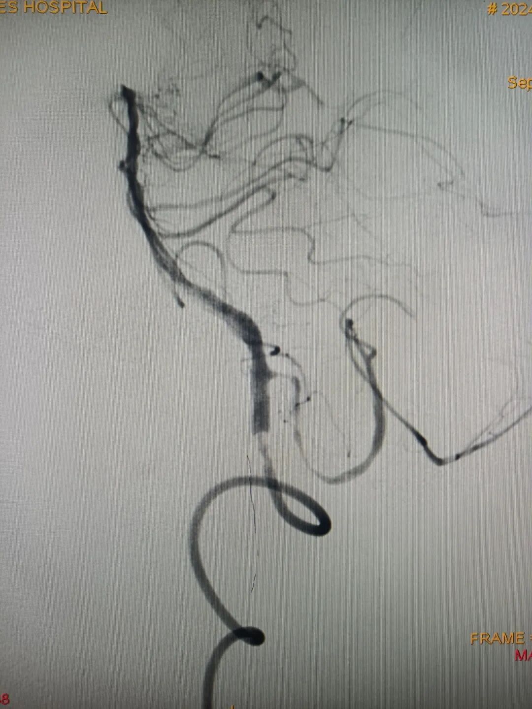 image7.jpeg