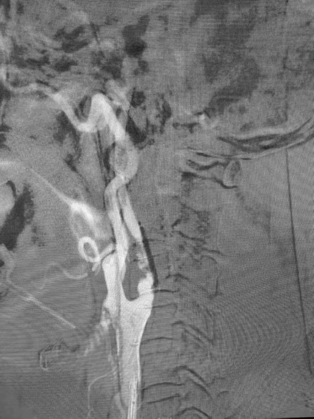 image23.jpeg
