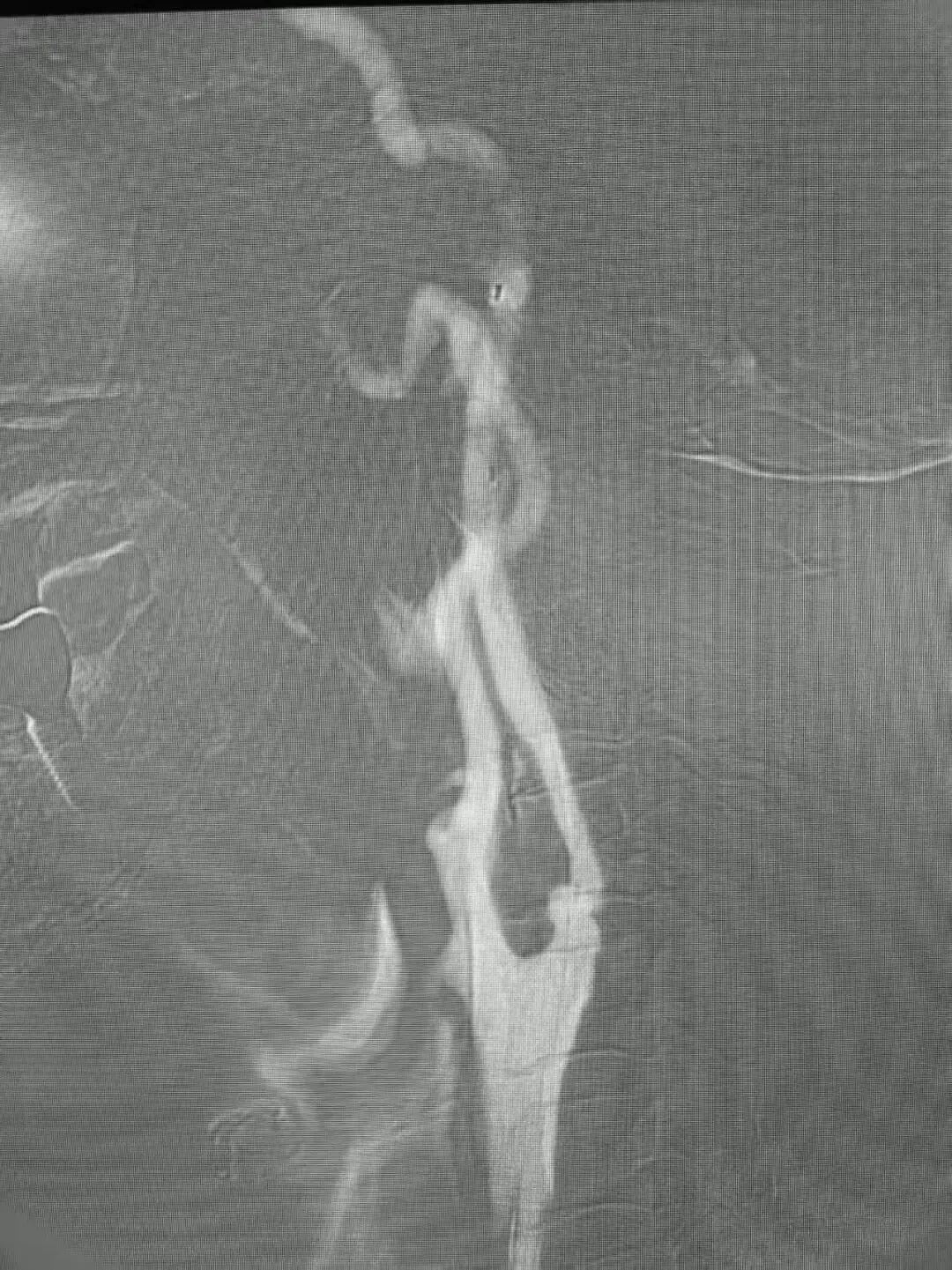 image27.jpeg