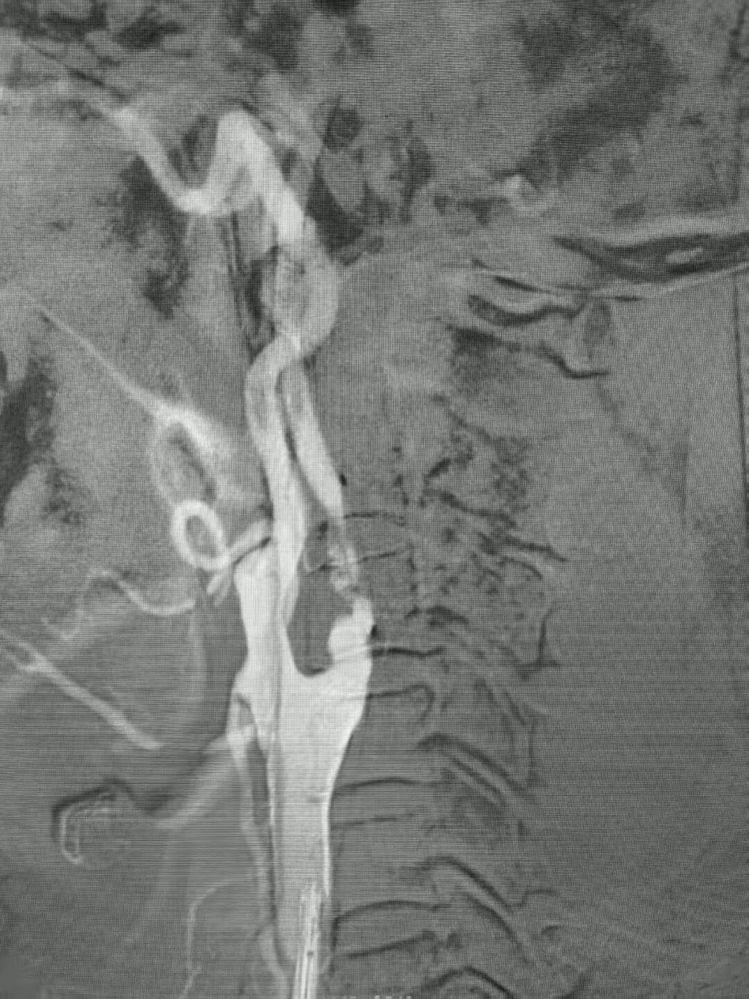 image22.jpeg