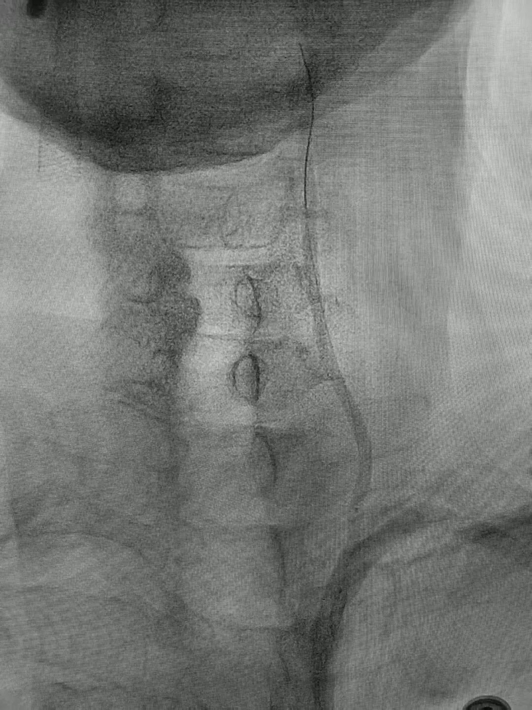 image18.jpeg