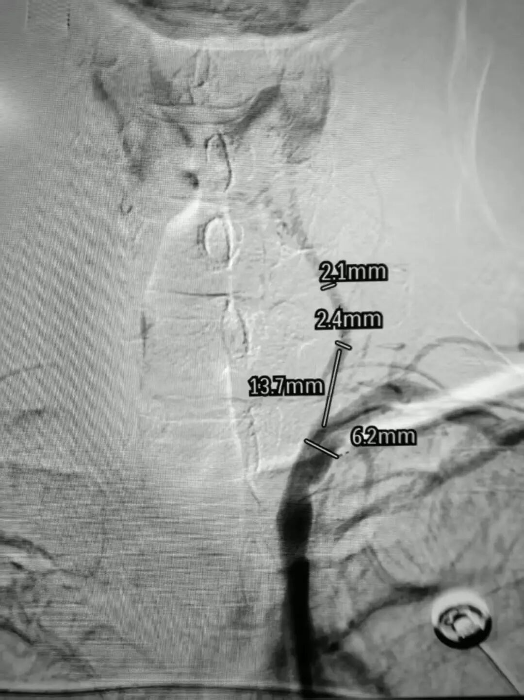 image15.jpeg