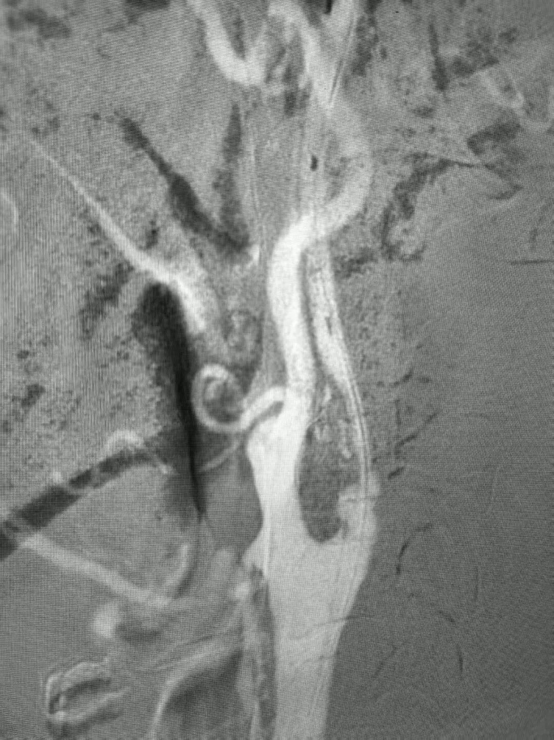 image25.jpeg