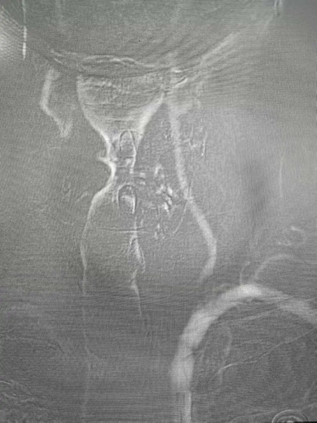 image16.jpeg