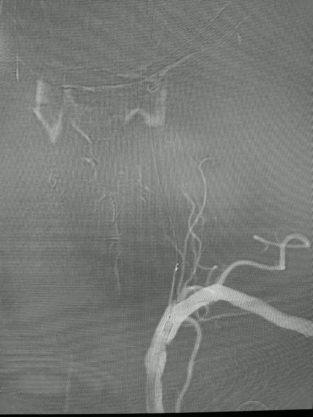 image17.jpeg
