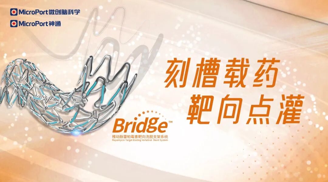 什么是靶向洗脱支架「“术”说卒中」第118期 ｜ 刻槽载药 靶向点灌——Bridge椎动脉雷帕霉素靶向洗脱支架治疗颈内动脉海绵窦段重度狭窄-上海聚慕医疗器械有限公司