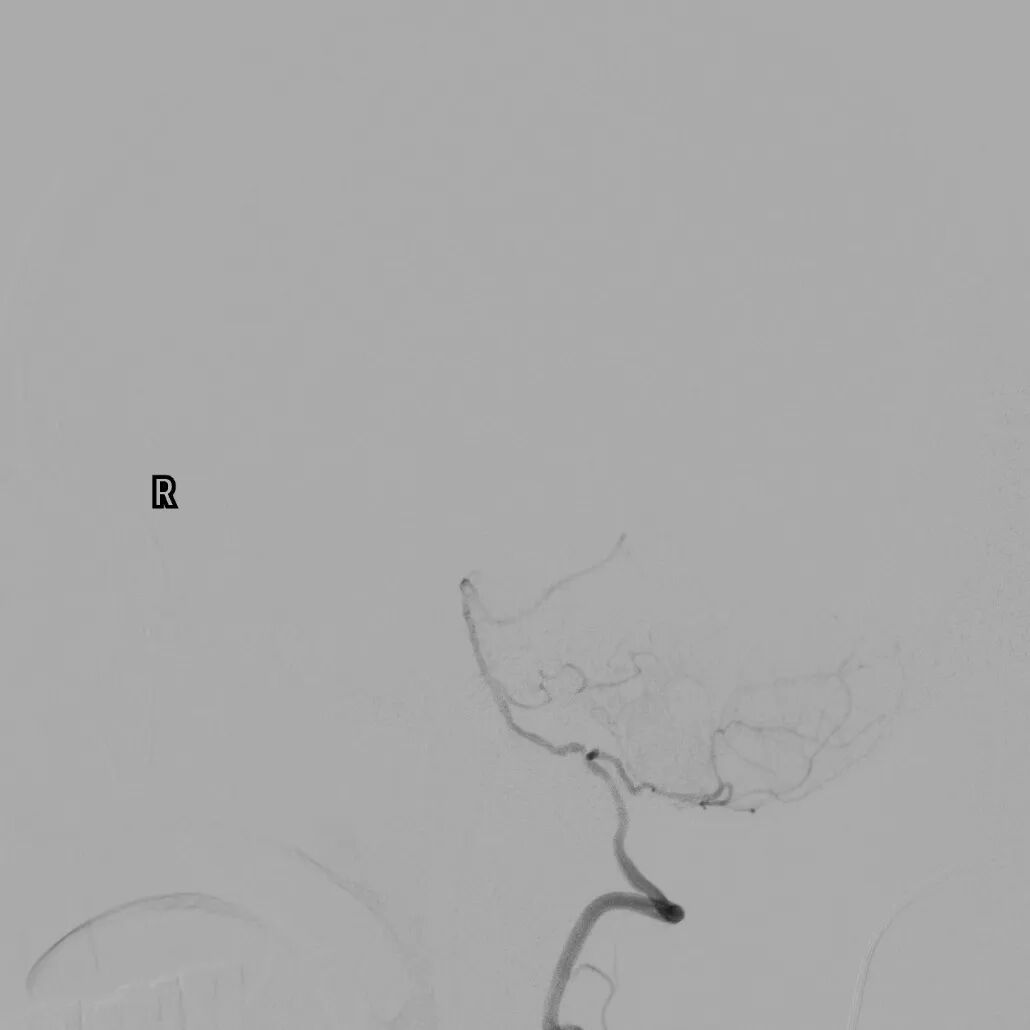 image16.jpeg
