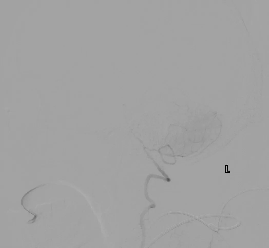 image9.jpeg