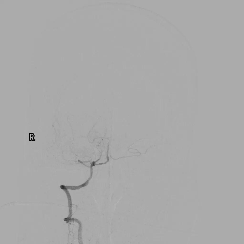 image15.jpeg
