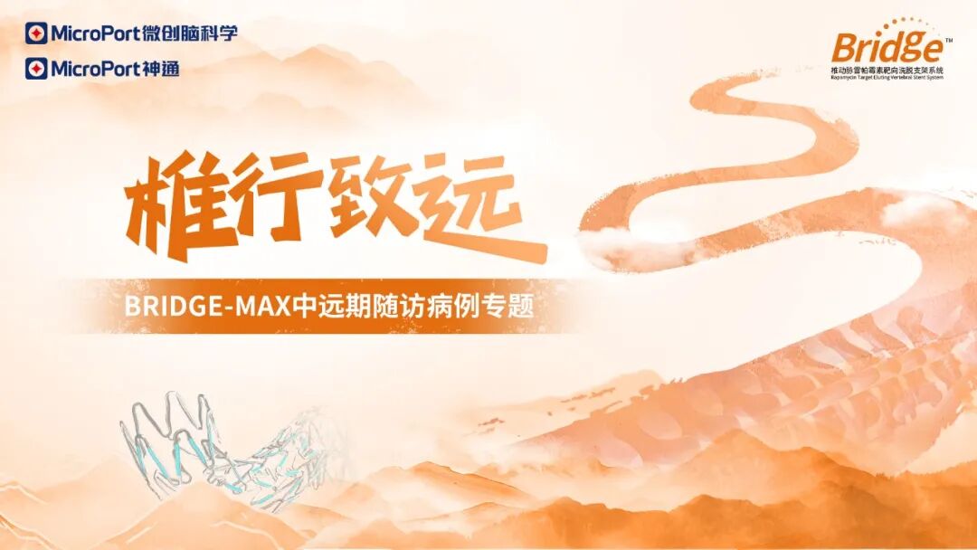 什么是靶向洗脱支架满弓劲发椎动脉 神技妙手显神通｜BRIDGE-MAX中远期随访病例分享（五）-上海聚慕医疗器械有限公司