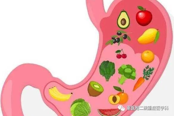 医疗监测性管道有哪些【重症科普你我他】之浅识ICU常见管道_https://www.jmylbn.com_新闻资讯_第29张