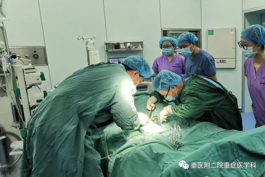 医疗监测性管道有哪些【重症科普你我他】之浅识ICU常见管道_https://www.jmylbn.com_新闻资讯_第41张