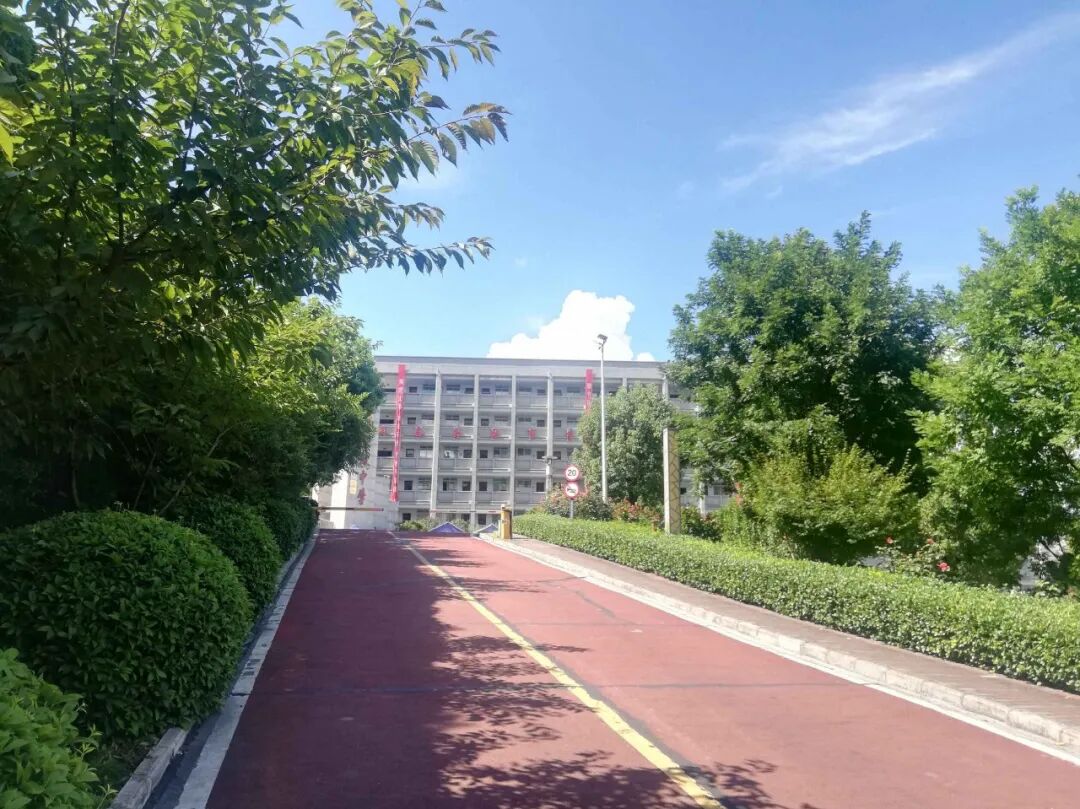 白河高级中学再创辉煌 - 安康触点信息