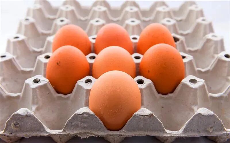 农村创业项目 农村致富项目_农村创业项目办小吃厂_小投资创业项目小吃