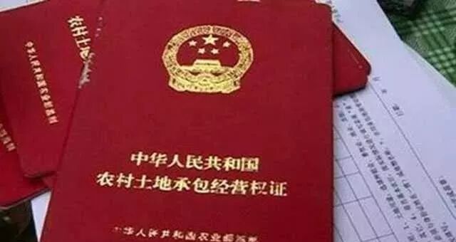 农村办厂加工创业项目 藏在农村不起眼可以垄断的暴利4个小生意致富，年赚百万不敢说，10万应该没问题。