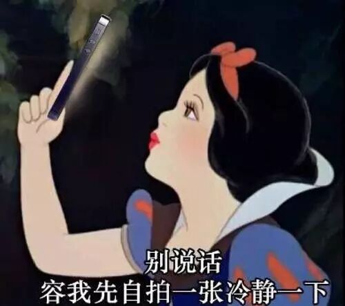 壕无人性！中国粉丝为韩国爱豆过生日，满屏香奈儿！连宠物都有份！（组图） - 64