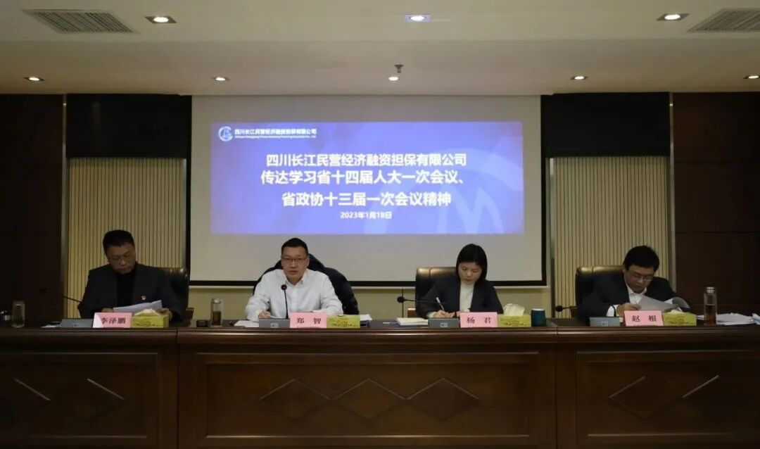 【长江融担公司】四川长江担保公司传达学习中省市重要会议精神