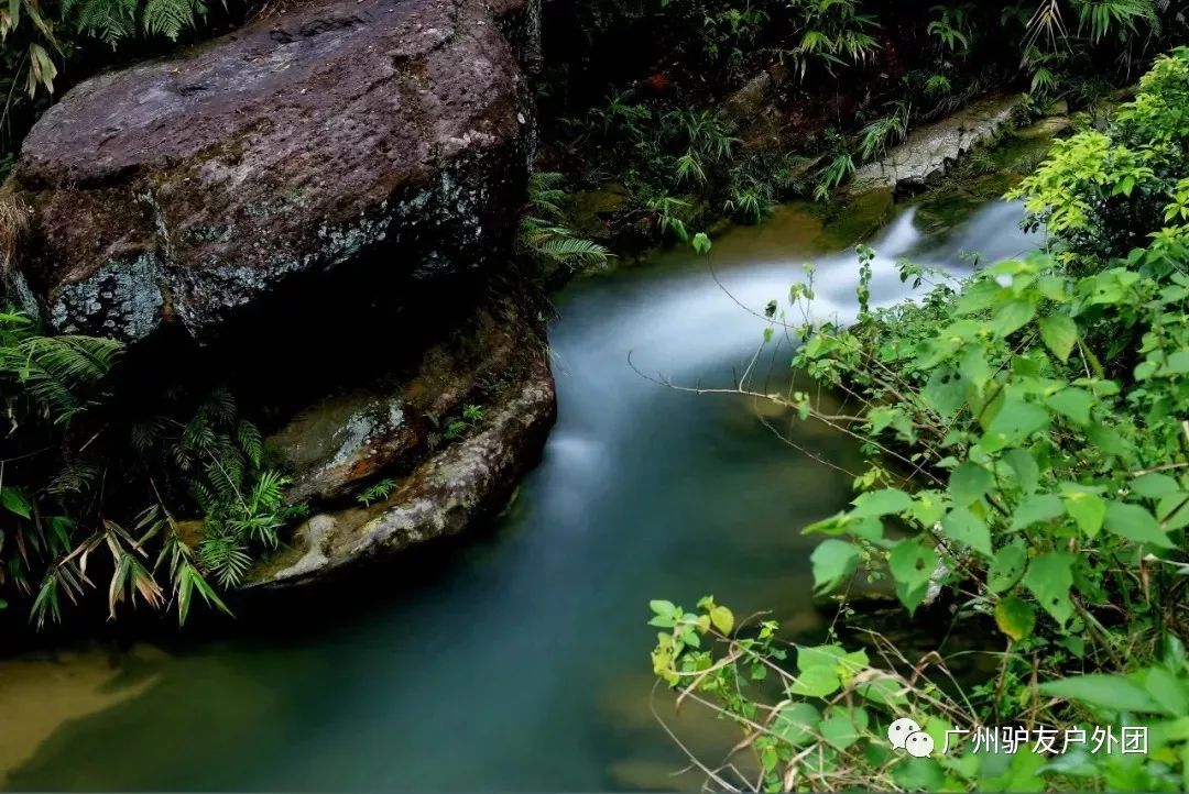 (28)6月15日周六 徒步嶺南名山圭峰山 品嘗絕味鴨嘴魚-戶外活動圖-駝鈴網(wǎng)