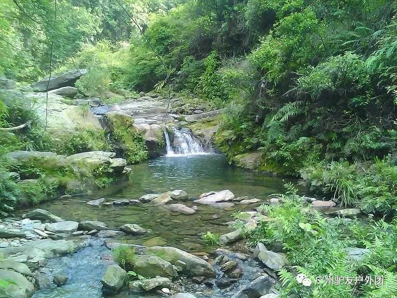 (26)6月15日周六 徒步嶺南名山圭峰山 品嘗絕味鴨嘴魚-戶外活動(dòng)圖-駝鈴網(wǎng)