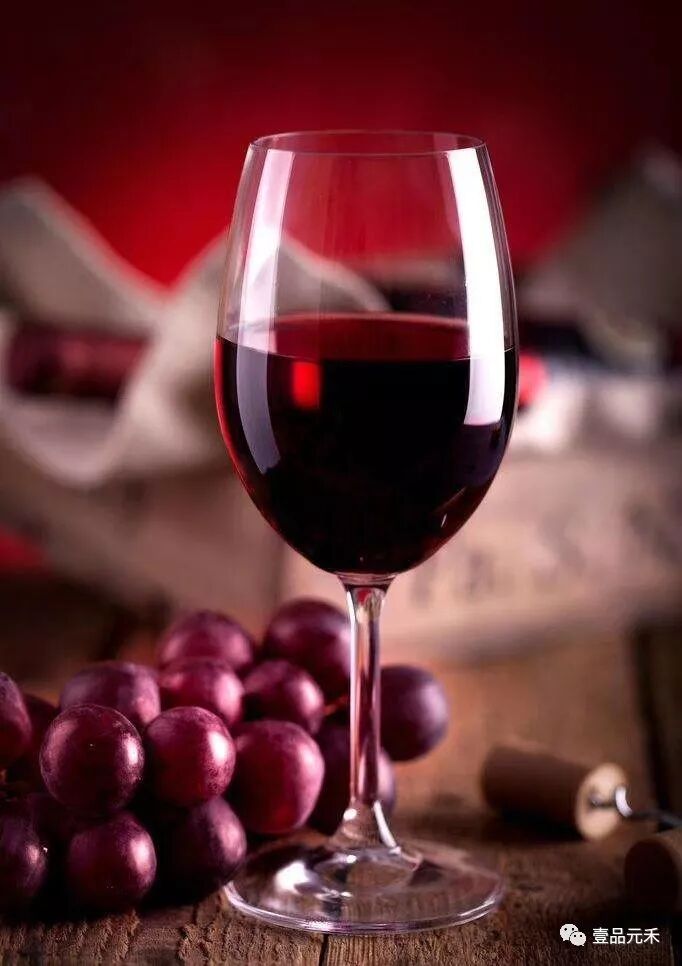 红酒小知识