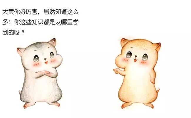 640?wx_fmt=jpeg&amp;tp=webp&amp;wxfrom=5&amp;wx_lazy=1&amp;wx_co=1