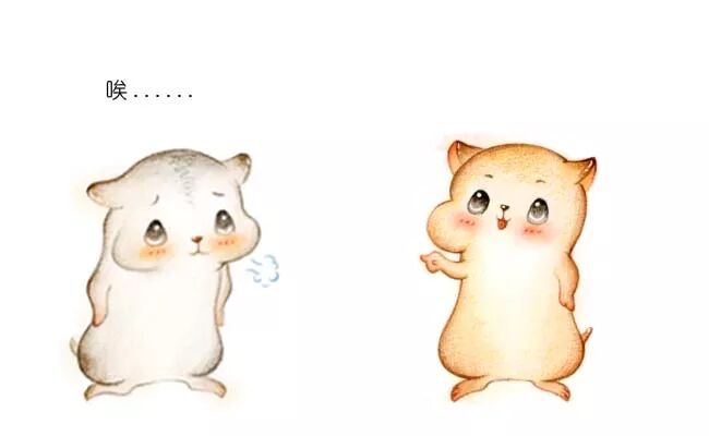 640?wx_fmt=jpeg&wxfrom=5&wx_lazy=1&wx_co=1