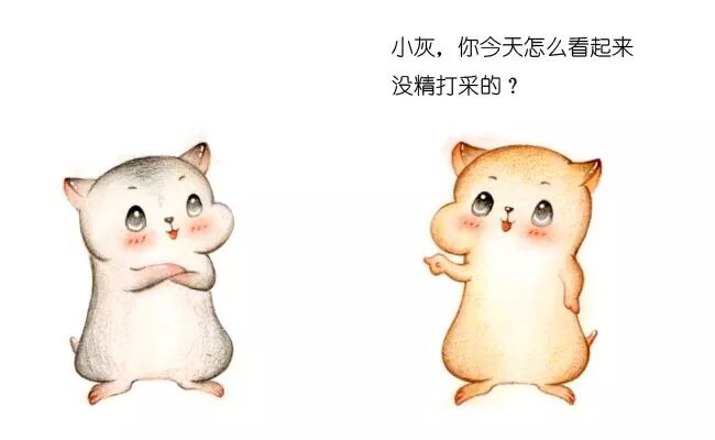 640?wx_fmt=jpeg&tp=webp&wxfrom=5&wx_lazy=1&wx_co=1