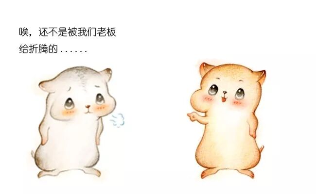 640?wx_fmt=jpeg&tp=webp&wxfrom=5&wx_lazy=1&wx_co=1