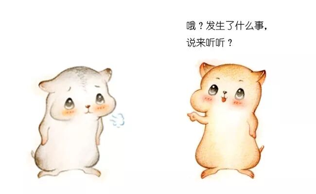 640?wx_fmt=jpeg&tp=webp&wxfrom=5&wx_lazy=1&wx_co=1