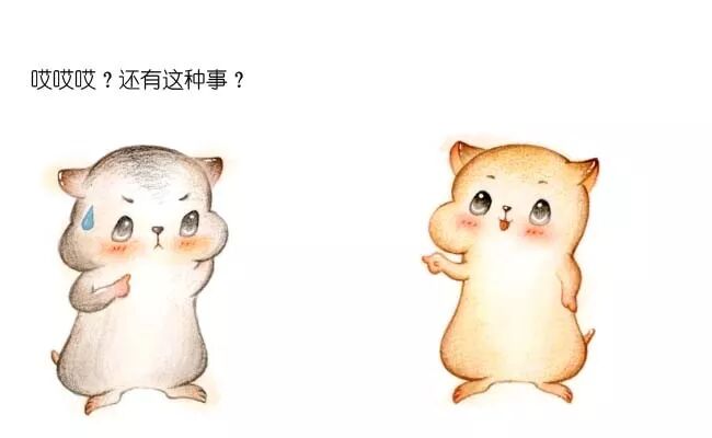 640?wx_fmt=jpeg&tp=webp&wxfrom=5&wx_lazy=1&wx_co=1