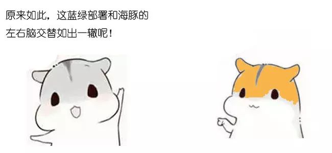漫画：什么是蓝绿部署？(转)
