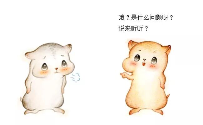 640?wx_fmt=jpeg&tp=webp&wxfrom=5&wx_lazy=1&wx_co=1