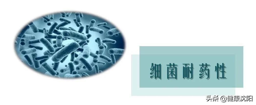 合理用药讲座内容