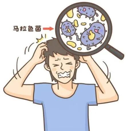 头发出油、脱屑，不妨试试这款药用洗发水——1%煤焦油洗剂！