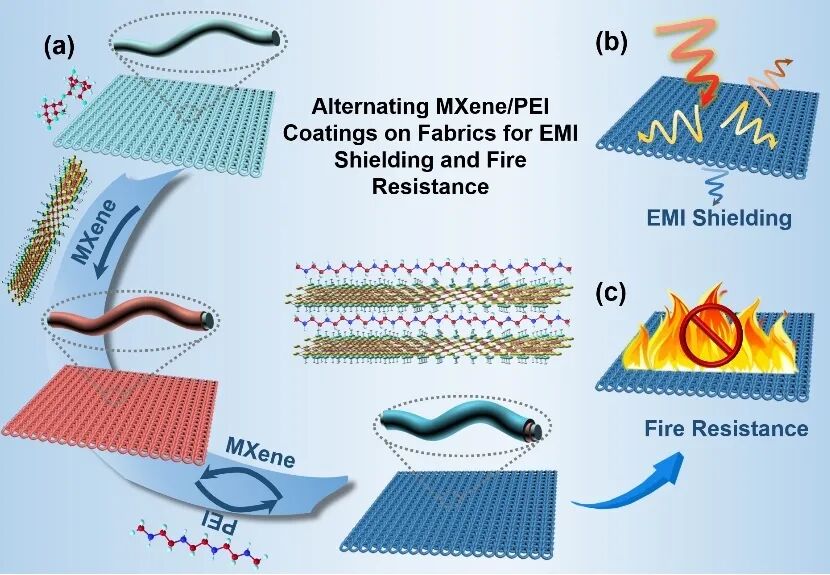 示意图1通过逐步组装技术制备电磁屏蔽和阻燃织物.