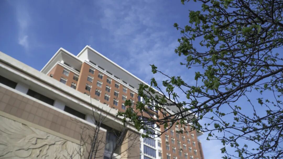 河北大學(xué)醫(yī)學(xué)部分?jǐn)?shù)線_河北大學(xué)醫(yī)學(xué)專業(yè)分?jǐn)?shù)線_河北醫(yī)科大學(xué)錄取分?jǐn)?shù)線2024