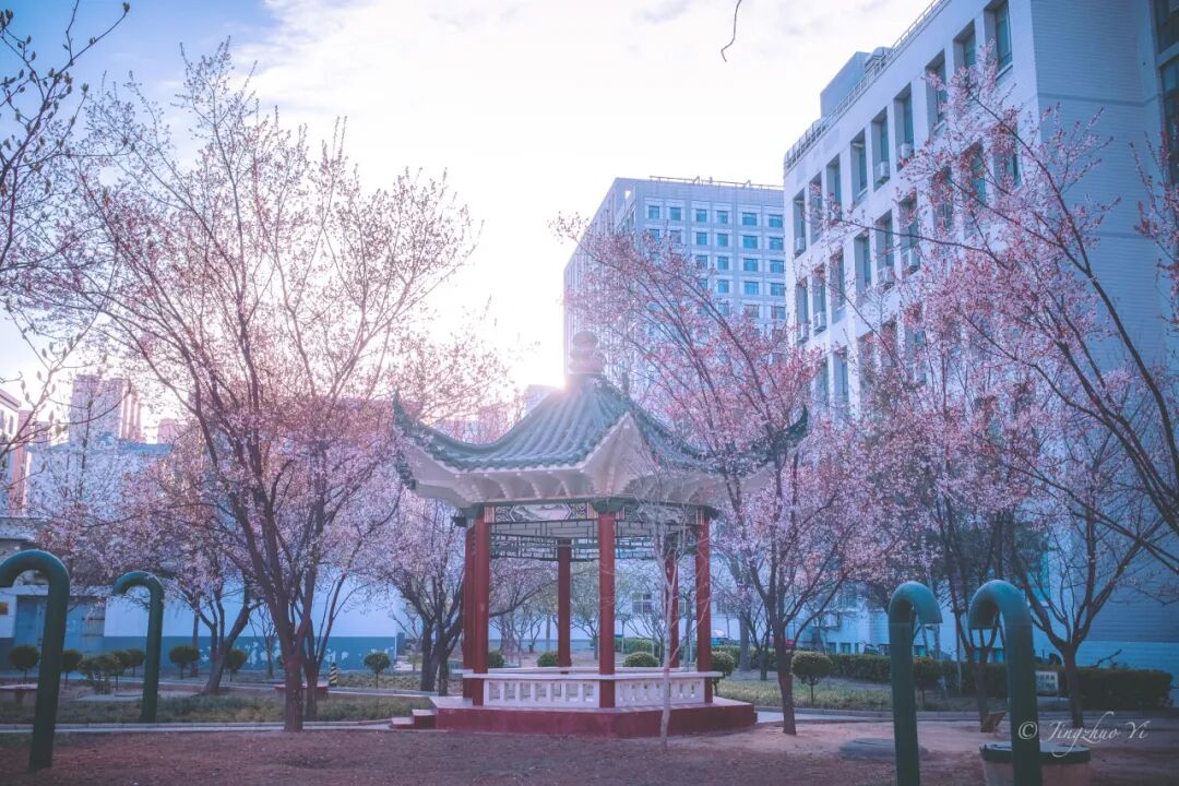 河北醫(yī)科大學(xué)錄取分?jǐn)?shù)線2024_河北大學(xué)醫(yī)學(xué)部分?jǐn)?shù)線_河北大學(xué)醫(yī)學(xué)專業(yè)分?jǐn)?shù)線