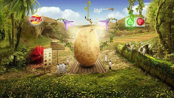 电商美工设计资源【第009期】600多张PNG免扣叶子素材