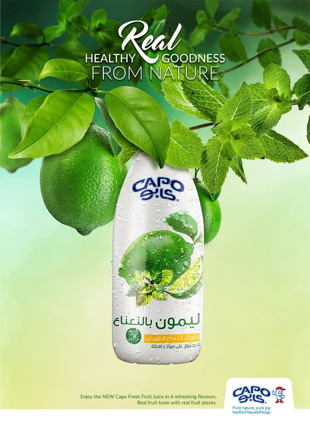 电商美工设计资源【第009期】600多张PNG免扣叶子素材