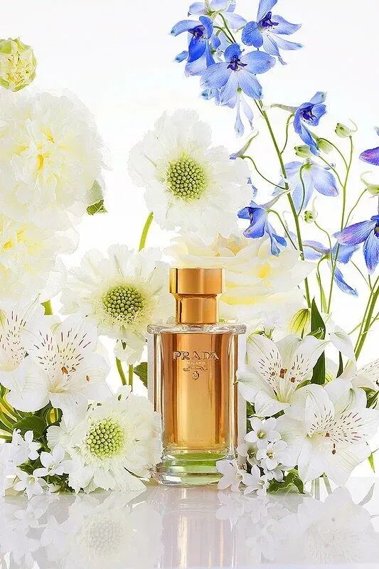 电商美工设计资源【第011期】 400多张 PNG免扣花花素材