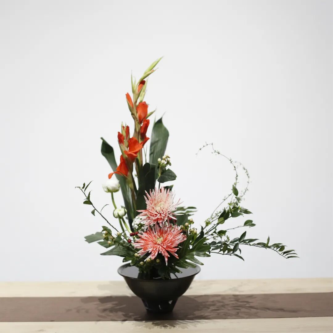 精品学习网_精品网络_精品网是做什么的