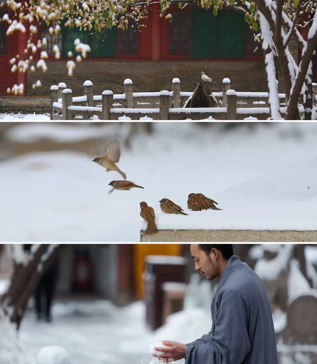 图片关键词