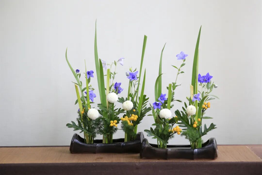 精品学习网_精品网是做什么的_精品网络