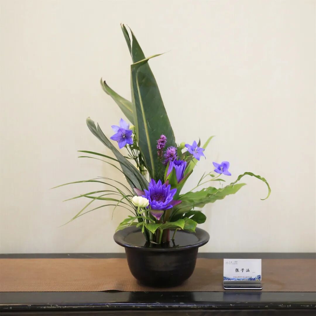 精品网络_精品网是做什么的_精品学习网