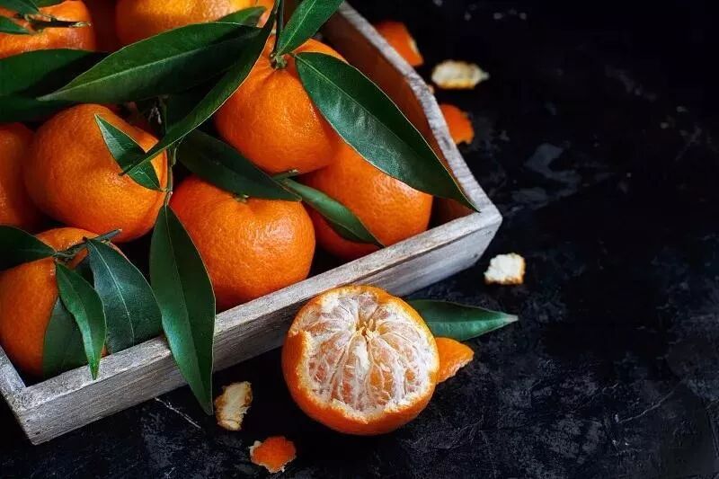 桔生淮南则为桔,生于淮北则为枳_桔红色_朱砂桔和四季桔的区别