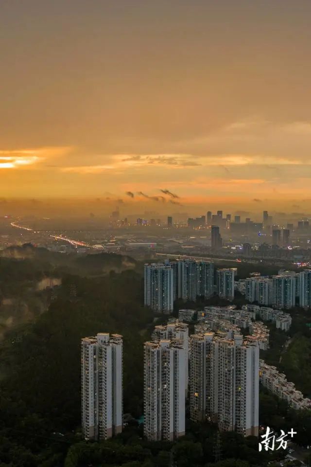 广州番禺钟村。南方拍客 刘达文 摄