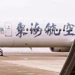 机长乘务员空中“互殴”细节披露，检察机关：不起诉