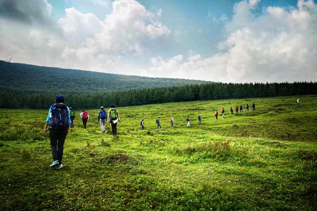 正觉正念是什么意思_正念是什么意思_正念 此刻是一枝花