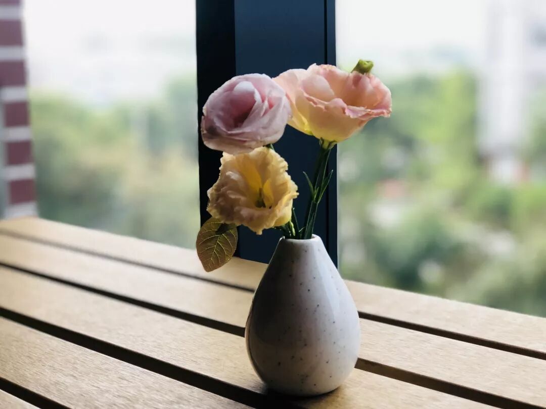 正念 此刻是一枝花_正觉正念是什么意思_正念是什么意思